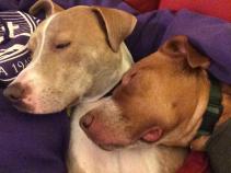 10428060_10202651408299578_4207302453510170024_n